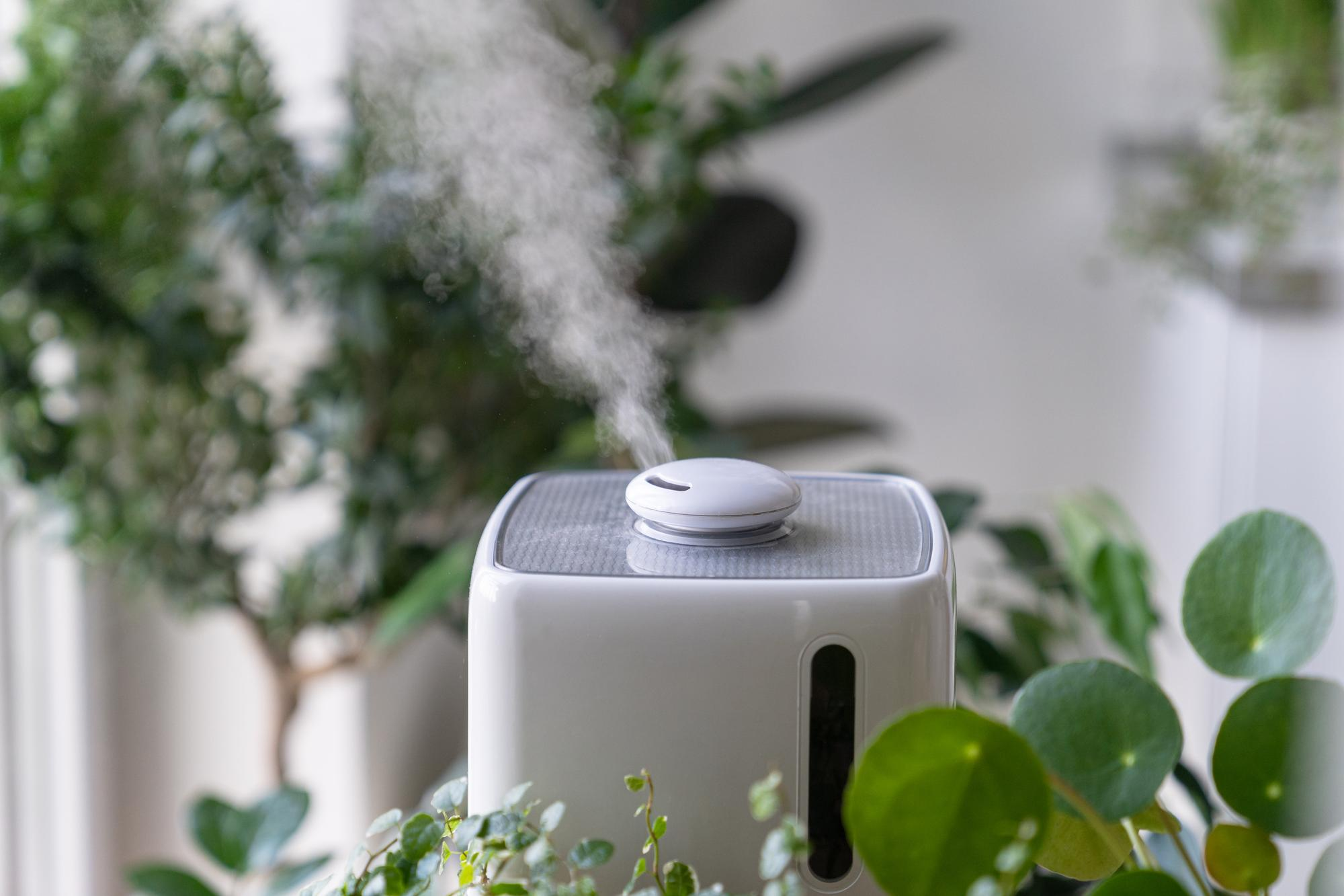 Home & Lifestyle Appliances